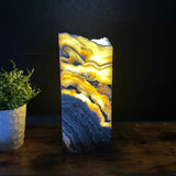 Zebra Onyx Lamp