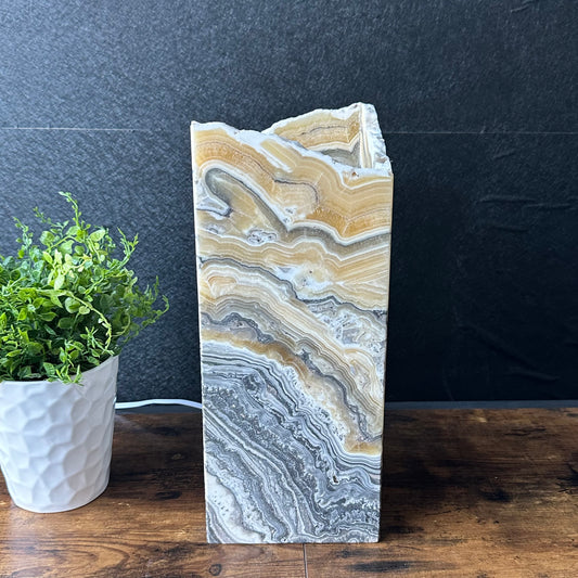 Zebra Onyx Lamp