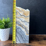Zebra Onyx Lamp