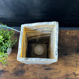 Zebra Onyx Lamp