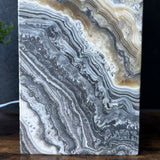 Zebra Onyx Lamp
