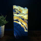 Zebra Onyx Lamp