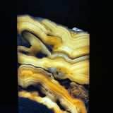 Zebra Onyx Lamp