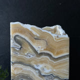 Zebra Onyx Lamp
